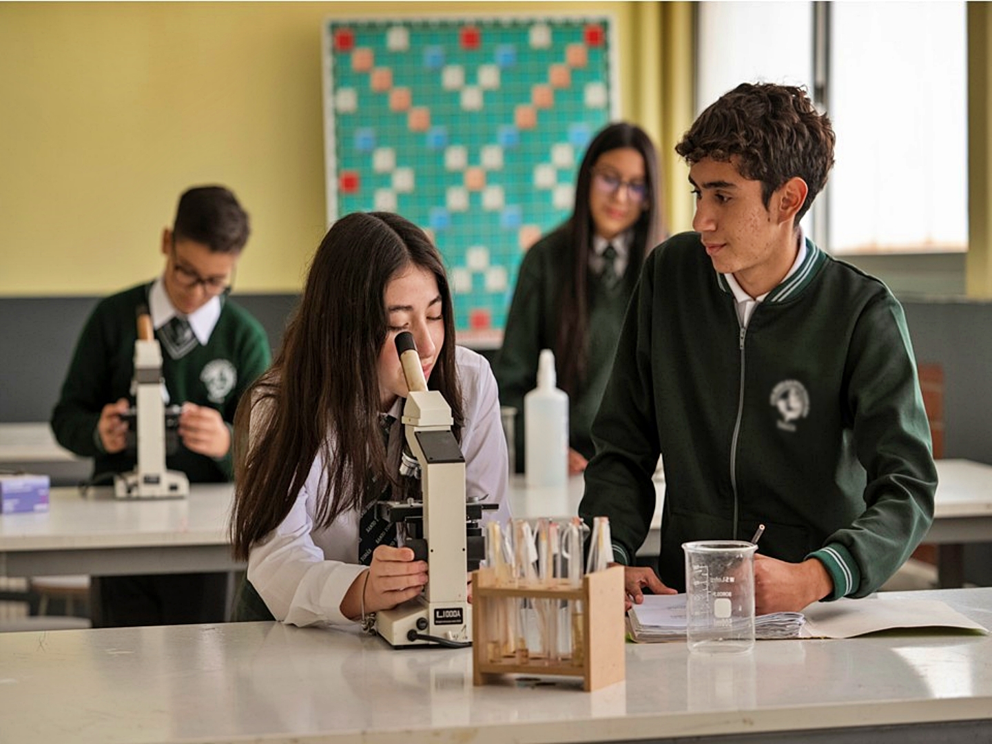 Formación académica