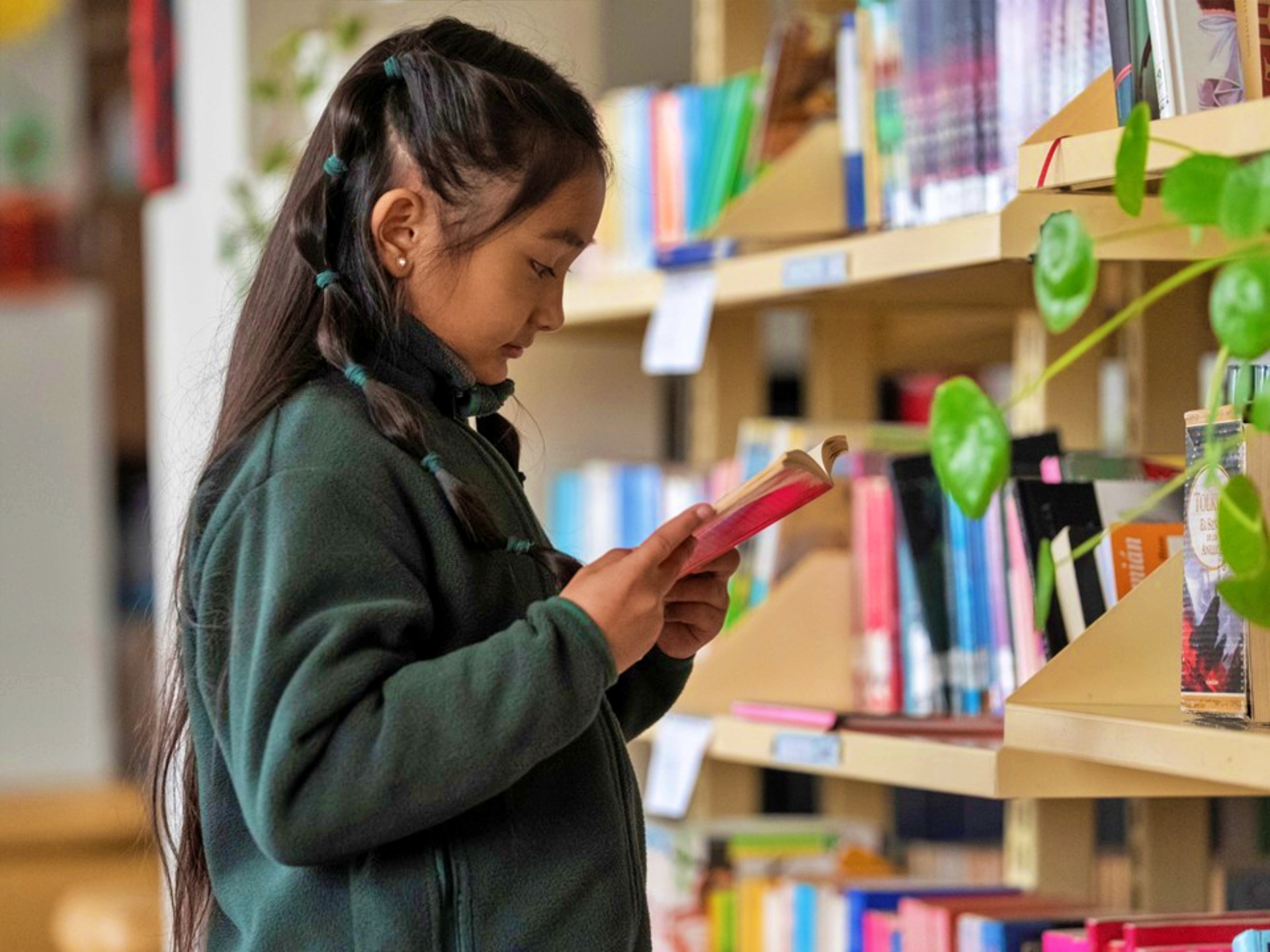 Biblioteca