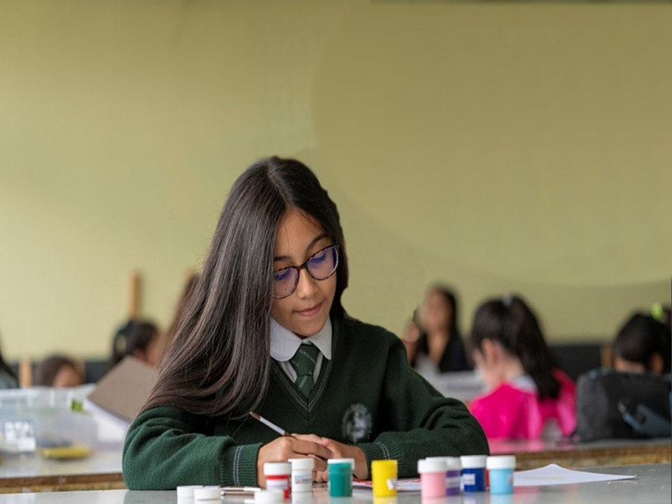 Formación académica