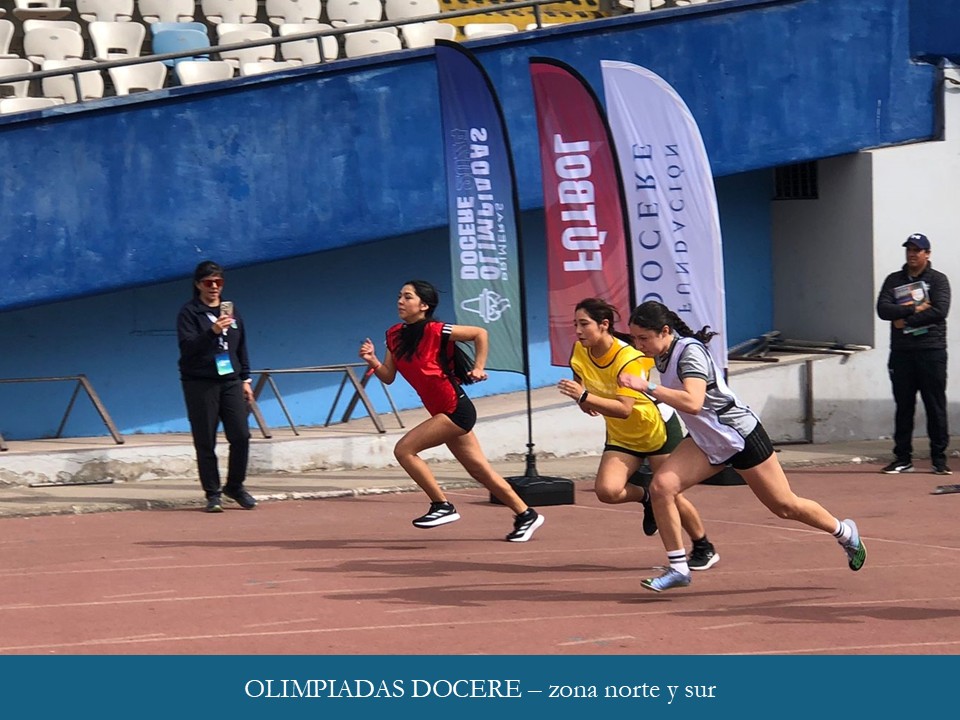 Olimpiadas Docere