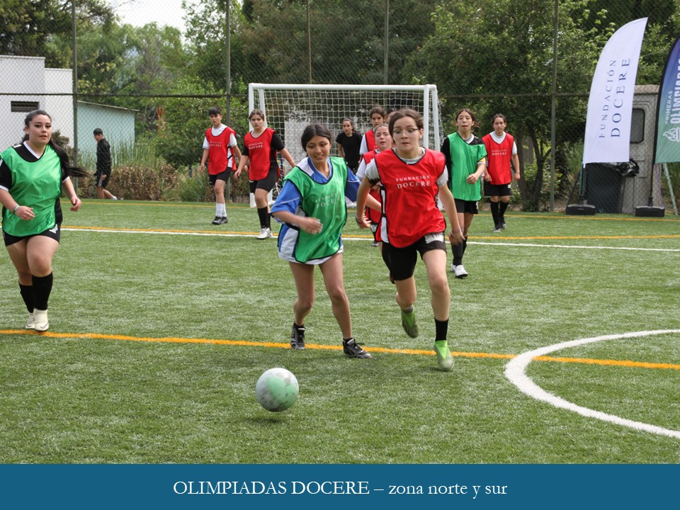 Olimpiadas Docere