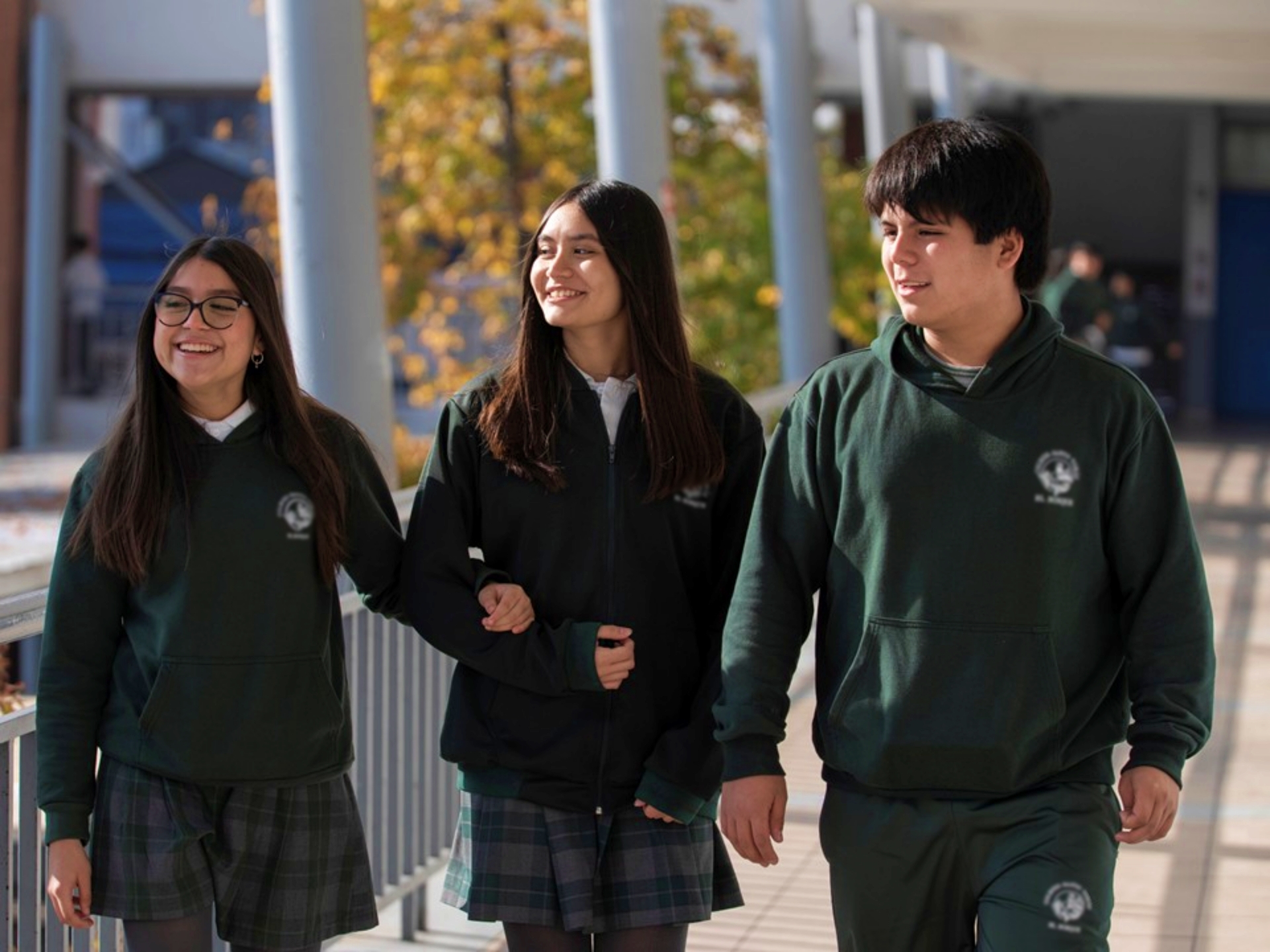 Convivencia escolar