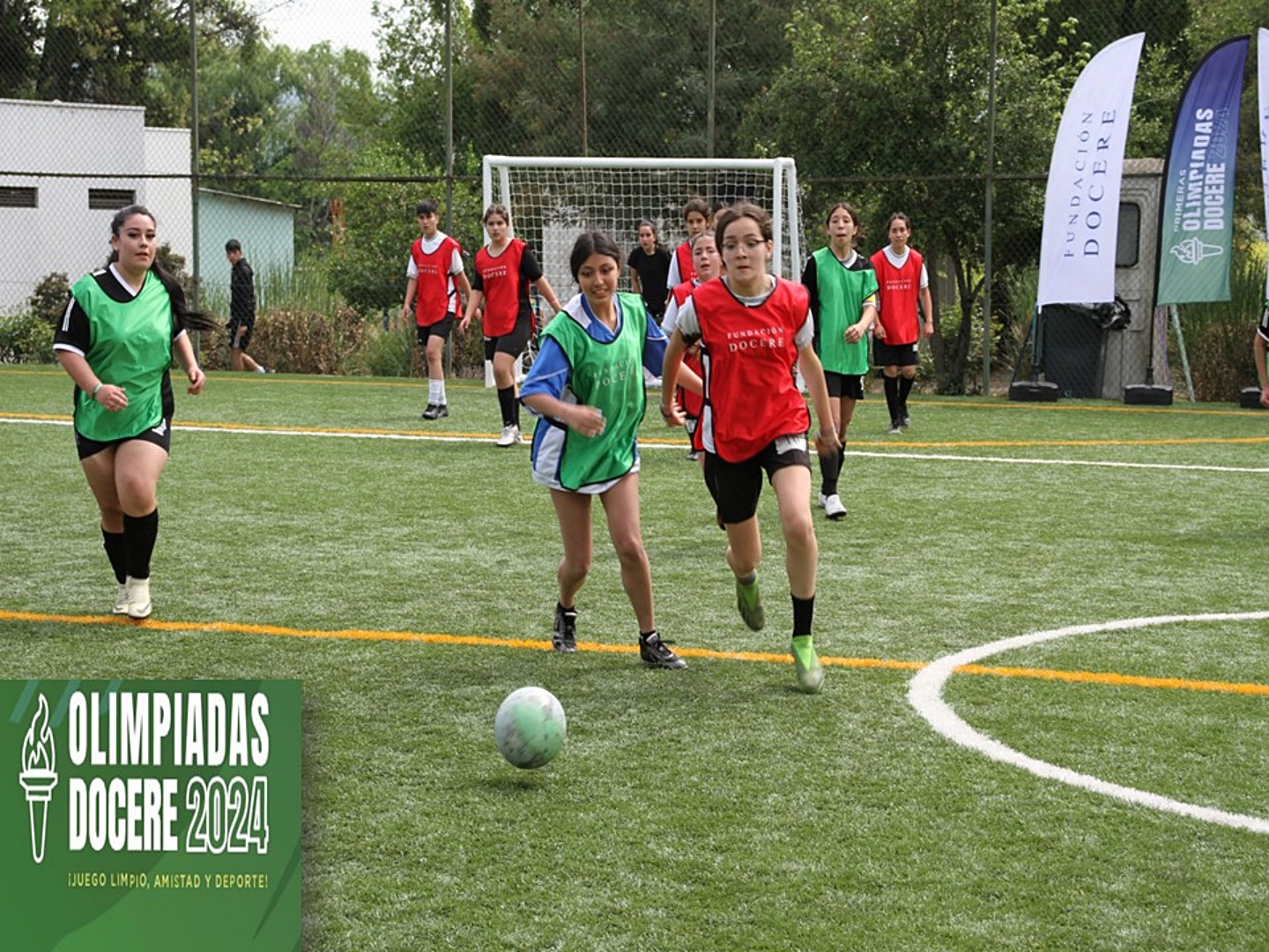 Participación en Olimpiadas Docere