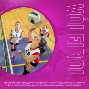 IG VOLEIBOL